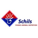Logo Schils